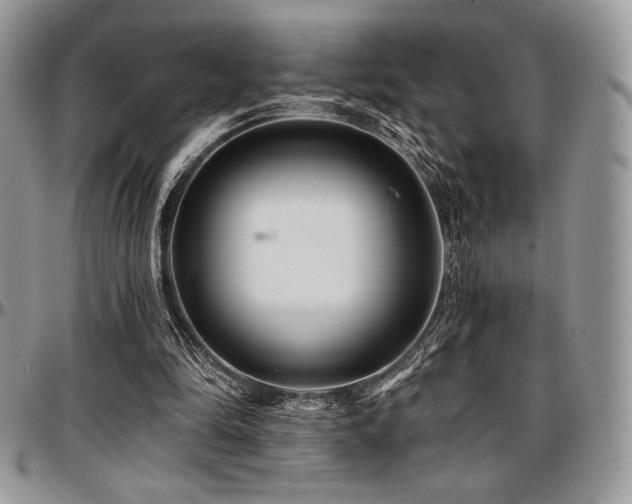 X0000097290294200802151422