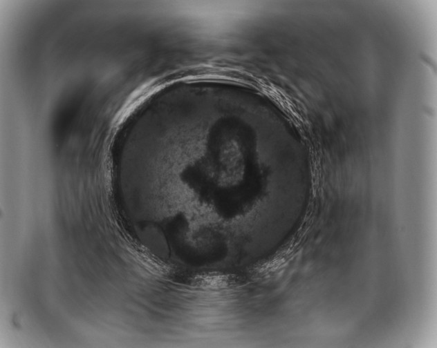 X0000097290295200802151422