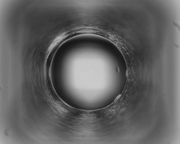 X0000097290296200802151422
