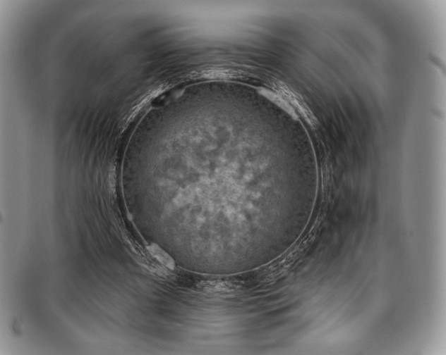 X0000097290297200802151422