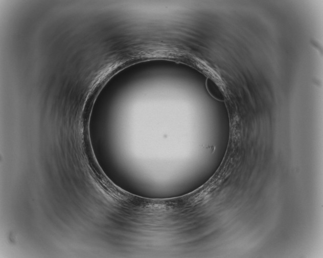 X0000097290298200802151422