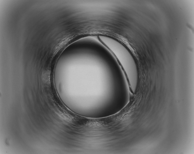 X0000097290299200802151422