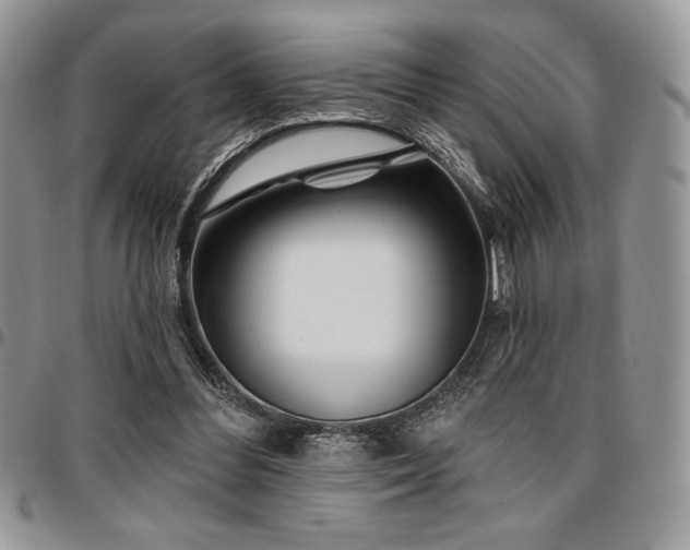 X0000097290300200802151422
