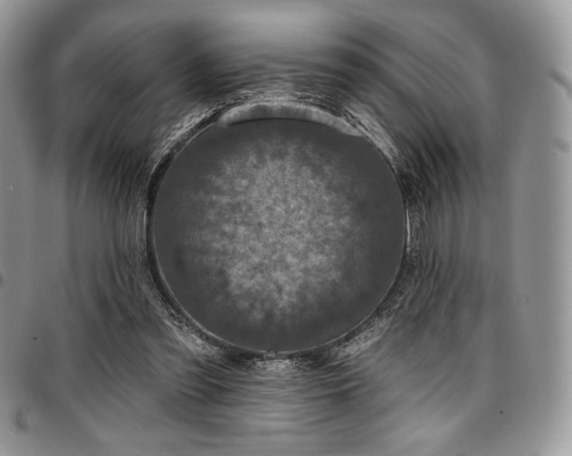 X0000097290301200802151422