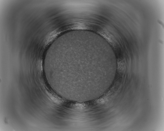 X0000097290302200802151422