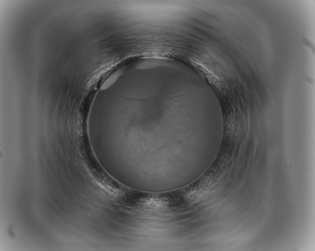 X0000097290303200802151422