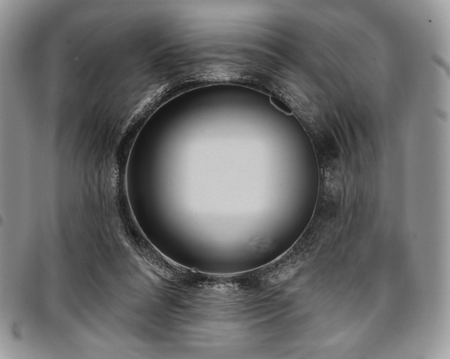 X0000097290304200802151422