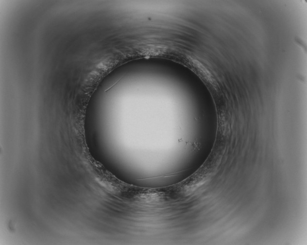 X0000097290307200802151421