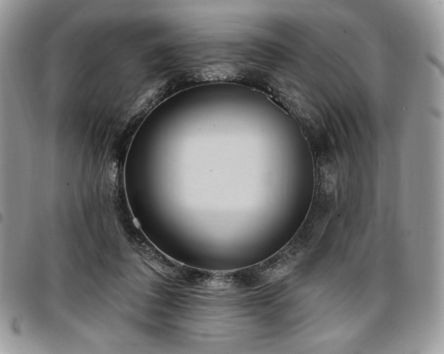 X0000097290308200802151421
