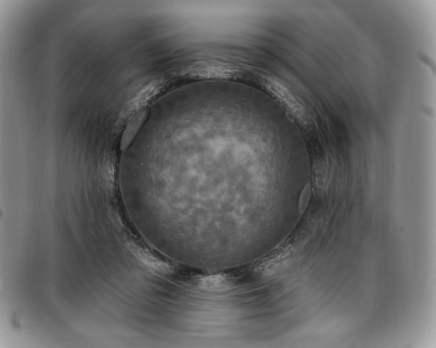 X0000097290309200802151421