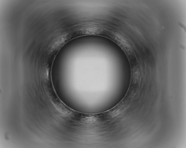 X0000097290310200802151421