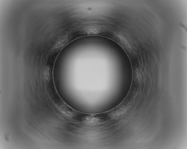 X0000097290311200802151421