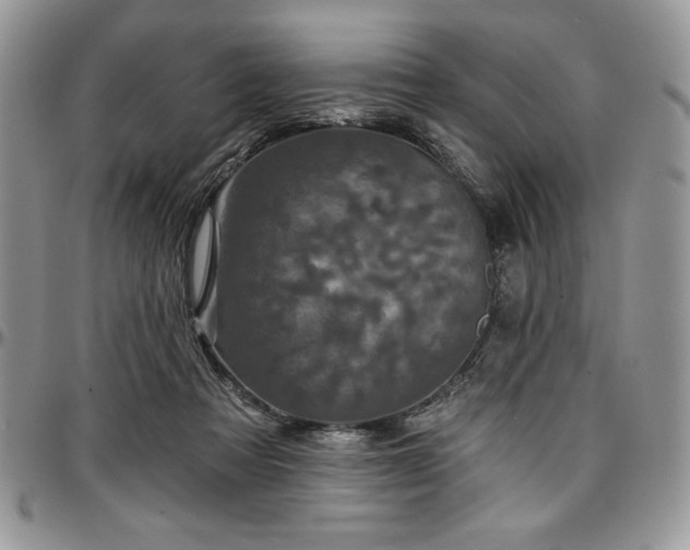 X0000097290313200802151421