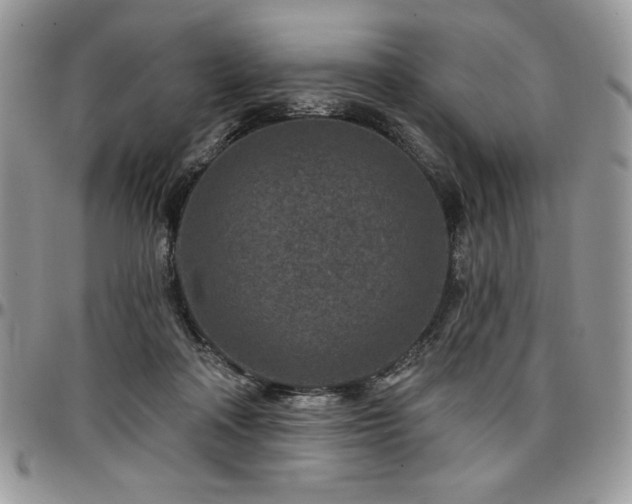 X0000097290314200802151421