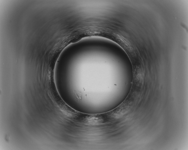 X0000097290315200802151421