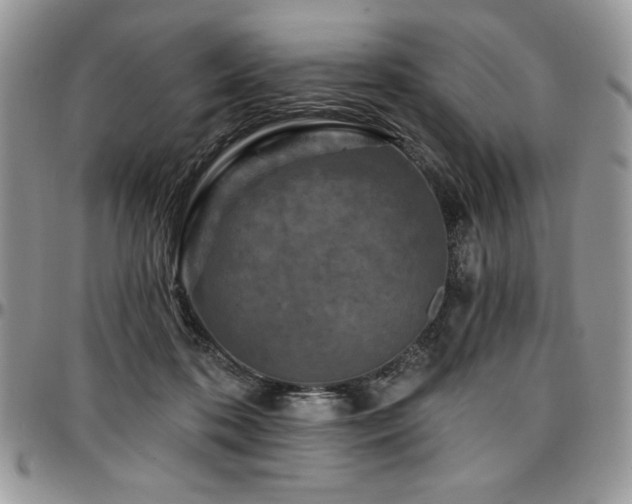X0000097290316200802151421