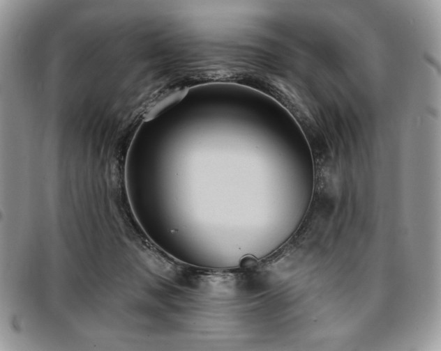 X0000097290317200802151421