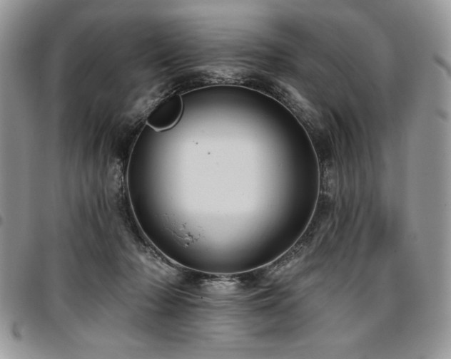 X0000097290318200802151421
