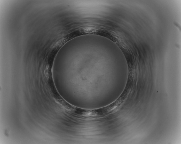X0000097290319200802151421