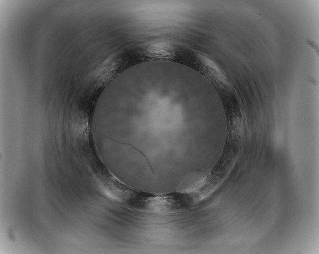 X0000097290320200802151421