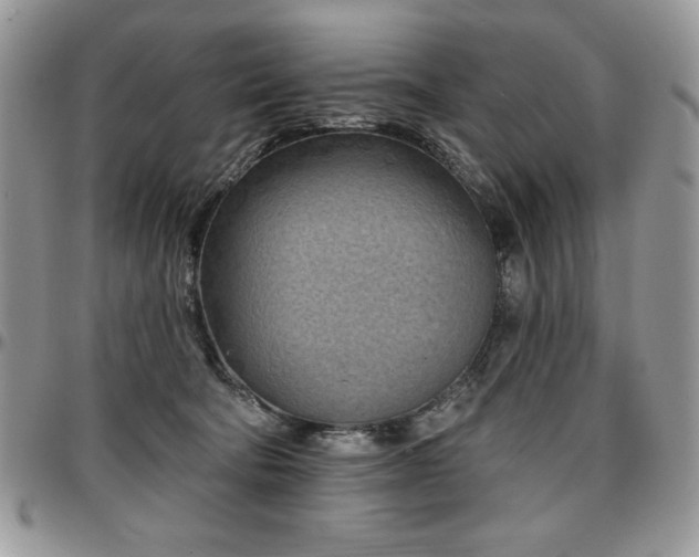 X0000097290322200802151421