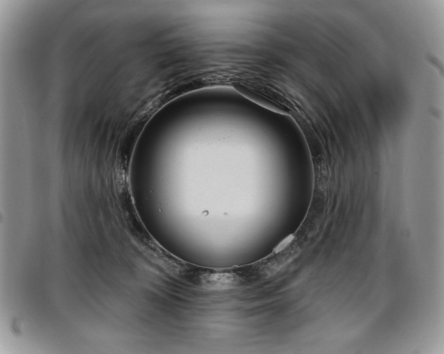 X0000097290324200802151421