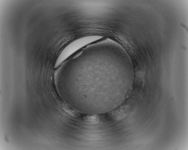 X0000097290325200802151421