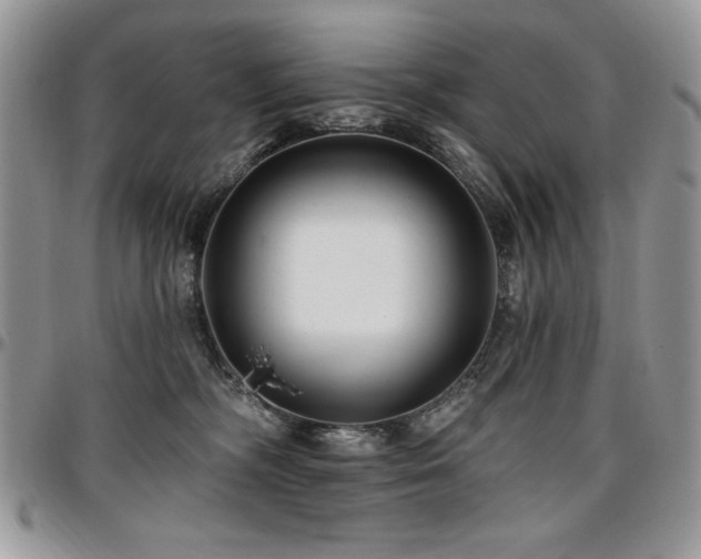 X0000097290326200802151421