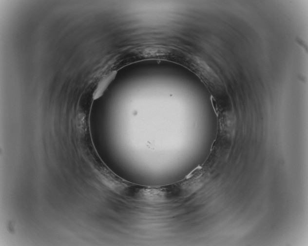 X0000097290327200802151421