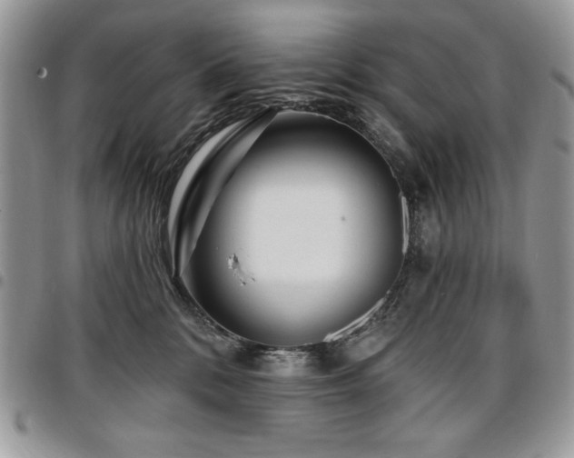 X0000097290328200802151421