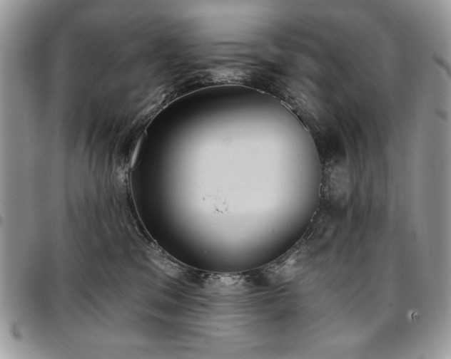 X0000097290329200802151421