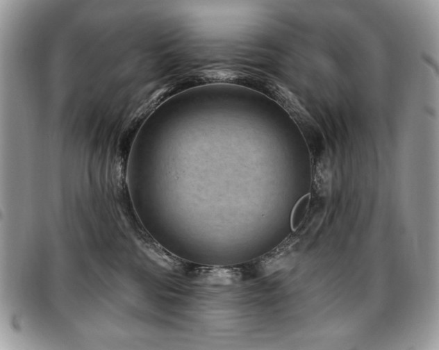 X0000097290330200802151421