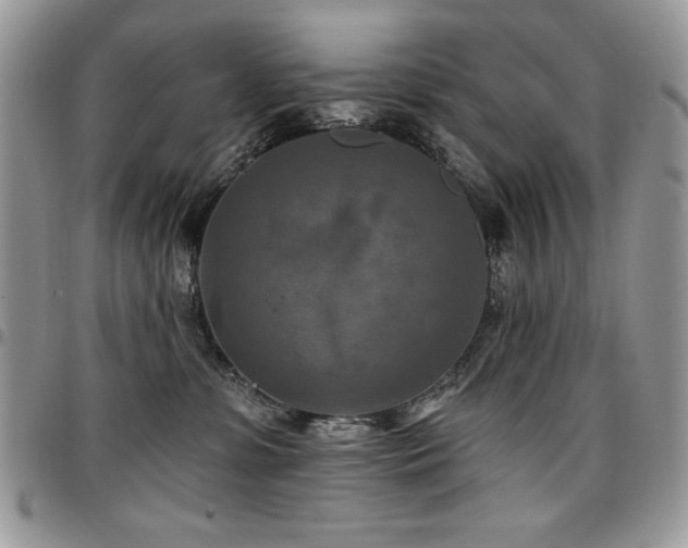X0000097290331200802151421