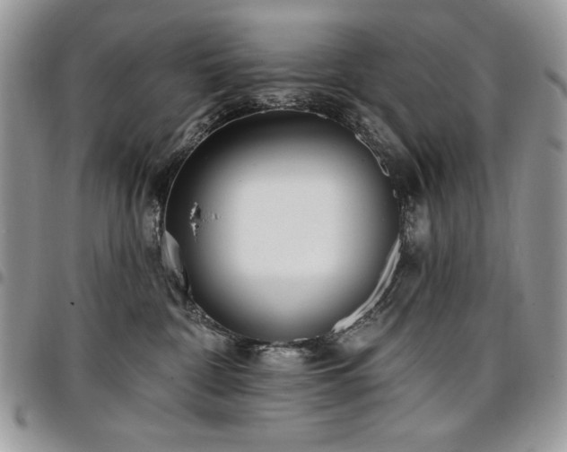 X0000097290332200802151421
