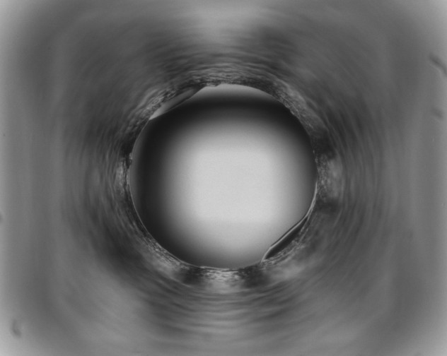 X0000097290333200802151421