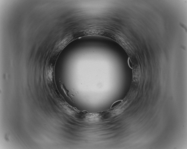 X0000097290334200802151421
