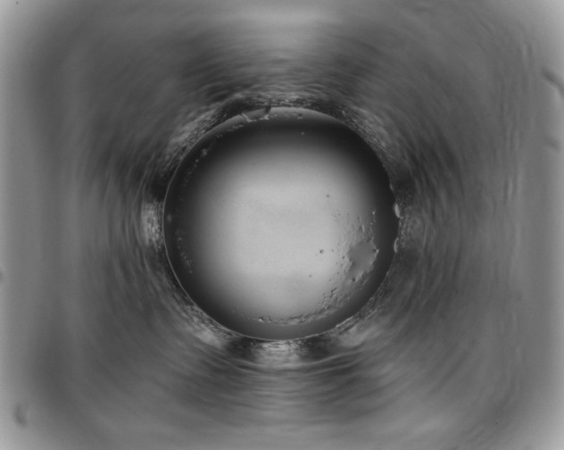 X0000097290335200802151421