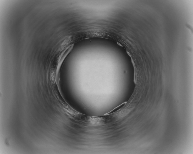 X0000097290336200802151421