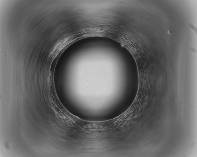 X0000097290338200802151420