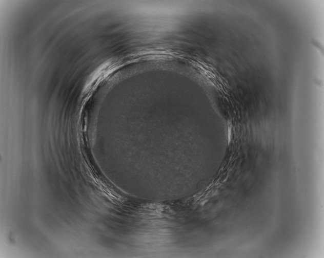 X0000097290339200802151420