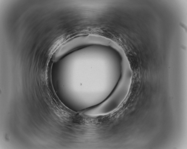 X0000097290340200802151420