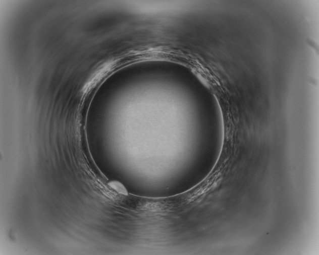 X0000097290341200802151420