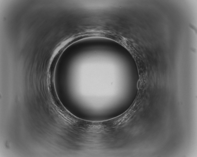 X0000097290342200802151420
