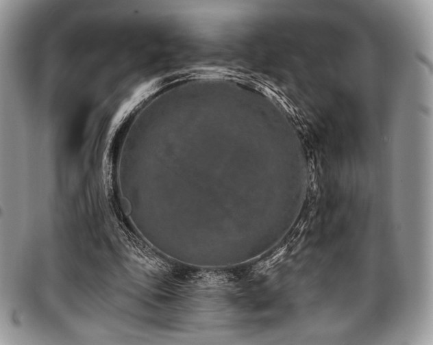 X0000097290343200802151420