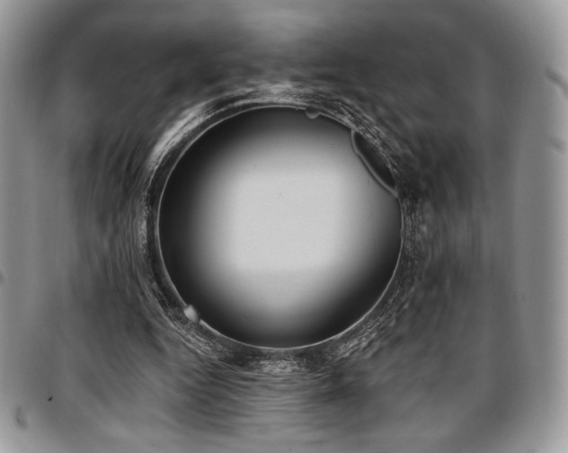 X0000097290344200802151420