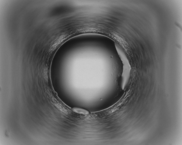 X0000097290345200802151420
