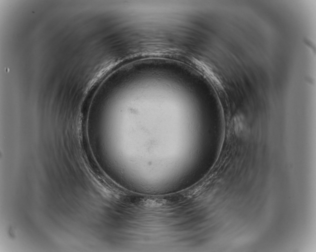 X0000097290346200802151420