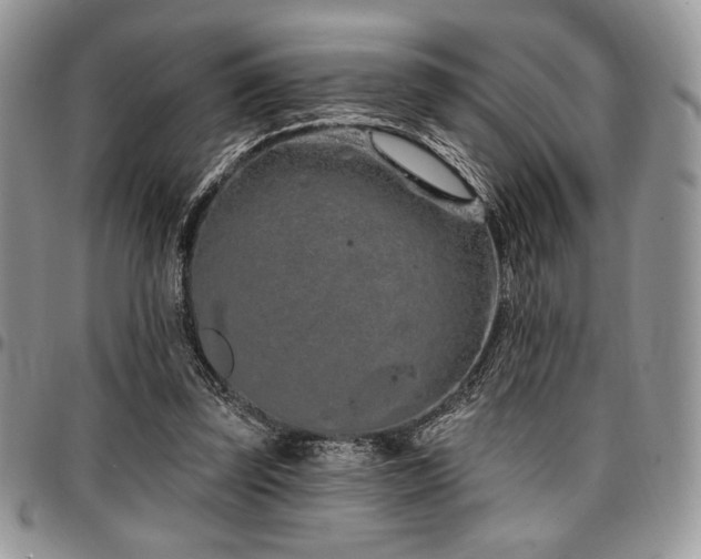 X0000097290347200802151420
