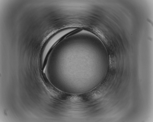 X0000097290348200802151420