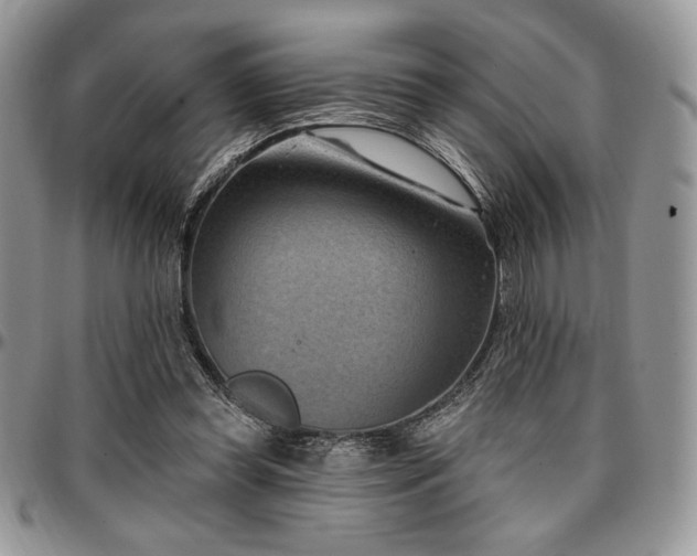 X0000097290349200802151420